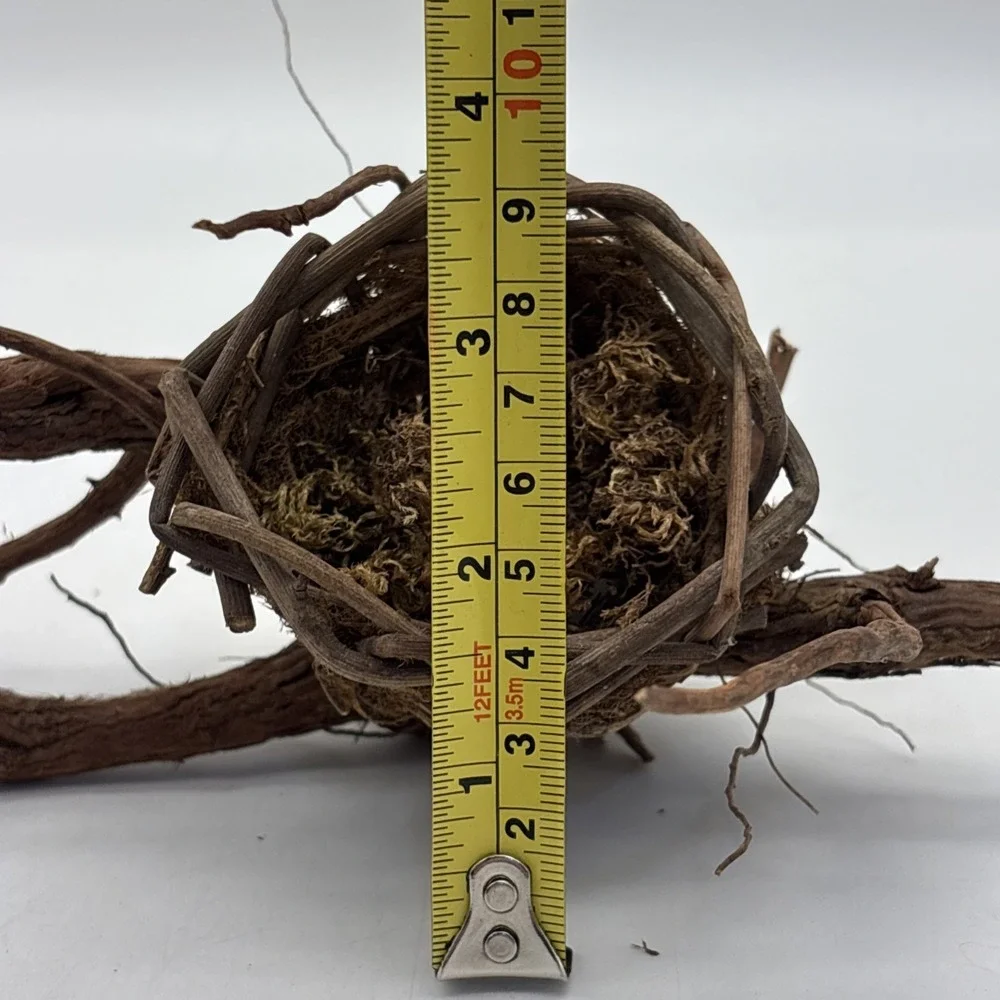 Bird nest  Garden decorations, home, floral accent, crafts, center piece